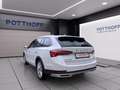 Skoda Octavia Combi 2.0 TDI DSG 4x4 SCOUT NAVI AHK LED SHZG Weiß - thumbnail 2