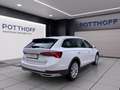 Skoda Octavia Combi 2.0 TDI DSG 4x4 SCOUT NAVI AHK LED SHZG Weiß - thumbnail 5