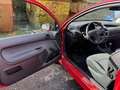 Peugeot 206 02/2026 TÜV 75 Tendance Rot - thumbnail 5