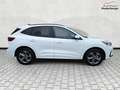 Ford Kuga ST-Line 1.5 EB Autom. ST Line 5J.Gar KeyFree Ka... Weiß - thumbnail 8
