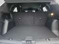 Ford Kuga ST-Line 1.5 EB Autom. ST Line 5J.Gar KeyFree Ka... Weiß - thumbnail 14