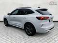 Ford Kuga ST-Line 1.5 EB Autom. ST Line 5J.Gar KeyFree Ka... Weiß - thumbnail 5