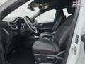 Ford Kuga ST-Line 1.5 EB Autom. ST Line 5J.Gar KeyFree Ka... Weiß - thumbnail 9