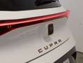 CUPRA Born 58/62 150kW/204PS Weiß - thumbnail 6
