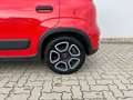Fiat Panda 1.0 Hybrid City Life+Parksensoren Rot - thumbnail 17