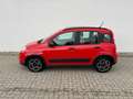 Fiat Panda 1.0 Hybrid City Life+Parksensoren Rosso - thumbnail 3