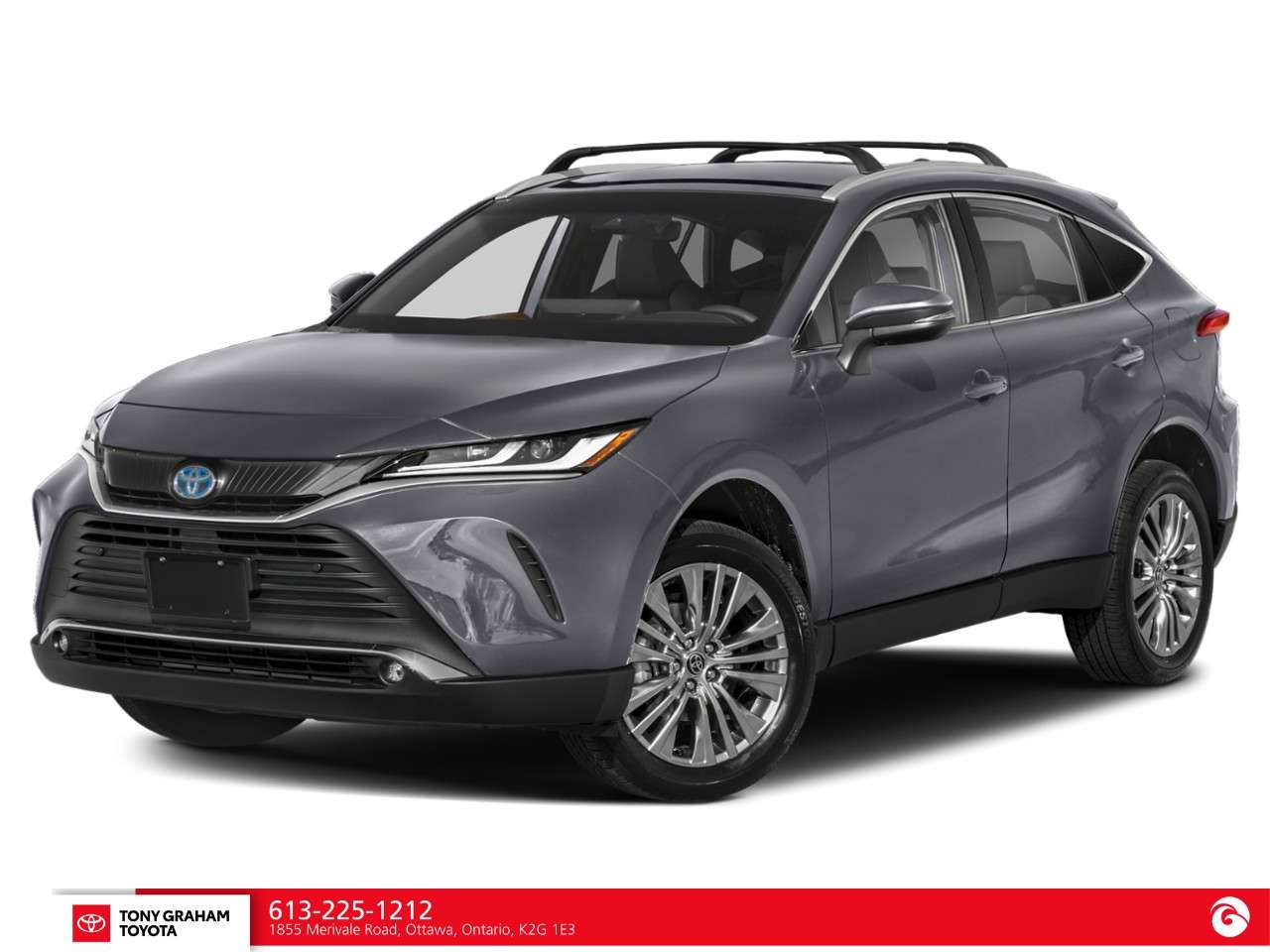 2024 Toyota Venza XLE AWD