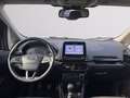 Ford EcoSport 1.0 ecoboost Titanium s&s 125cv my20.25 Grigio - thumbnail 10