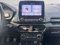 Ford EcoSport 1.0 ecoboost Titanium s&s 125cv my20.25 Grigio - thumbnail 11