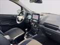Ford EcoSport 1.0 ecoboost Titanium s&s 125cv my20.25 Grigio - thumbnail 15