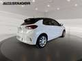 Opel Corsa e Edition 11 kw Lader LED, Kamera, Winterpaket,... Blanco - thumbnail 6