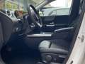 Mercedes-Benz B 180 Progressive Multibeam Rückfahrkamera AHK Weiß - thumbnail 11