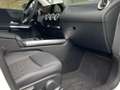 Mercedes-Benz B 180 Progressive Multibeam Rückfahrkamera AHK Weiß - thumbnail 12