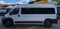 Fiat Ducato 3.0 L3H2*CNG*Rollstuhl*6Si*MotorNEU 10tkm Weiß - thumbnail 8
