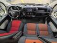 Fiat Ducato 3.0 L3H2*CNG*Rollstuhl*6Si*MotorNEU 10tkm Weiß - thumbnail 28