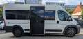 Fiat Ducato 3.0 L3H2*CNG*Rollstuhl*6Si*MotorNEU 10tkm Weiß - thumbnail 4
