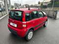 Fiat Panda 1.2 Climbing 4x4 Rood - thumbnail 3