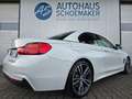 BMW 435 d xDrive Cabrio M Sport*Nappa,AHK,19´´RFK,HUD Weiß - thumbnail 6