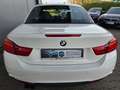 BMW 435 d xDrive Cabrio M Sport*Nappa,AHK,19´´RFK,HUD Weiß - thumbnail 9