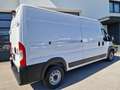 Fiat Ducato DUCATO L3H2*2-SCHIEBETÜREN*NETTO € 25825.-* Blanc - thumbnail 6