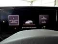 Volkswagen Tiguan Friends eTSI DSG Grau - thumbnail 22