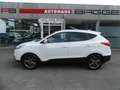 Hyundai iX35 1.6 GDI FIFA World Cup EDITION 2WD Weiß - thumbnail 1