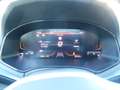 SEAT Arona Arona 2022 1.0 ecotsi Xperience 115cv dsg Blanc - thumbnail 15