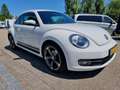 Volkswagen Beetle 1.2 TSI Design Bianco - thumbnail 3
