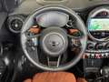 MINI Cooper S Cabrio DKG Navi.HUD.LED.RFK.DriveA Grün - thumbnail 5