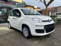 Fiat Panda Pandina 1.0 firefly hybrid PACK CITY PREZZO REALE Bianco - thumbnail 4