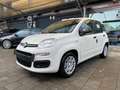 Fiat Panda Pandina 1.0 firefly hybrid PACK CITY PREZZO REALE Bianco - thumbnail 2