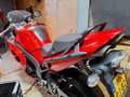 Triumph Sprint ST 1050 sport/ tour Rosso - thumbnail 5