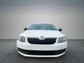 Skoda Octavia 1.6 TDI *limo*TOP!*sehr gepflegt*EURO 6 Weiß - thumbnail 4