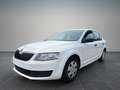 Skoda Octavia 1.6 TDI *limo*TOP!*sehr gepflegt*EURO 6 Weiß - thumbnail 5