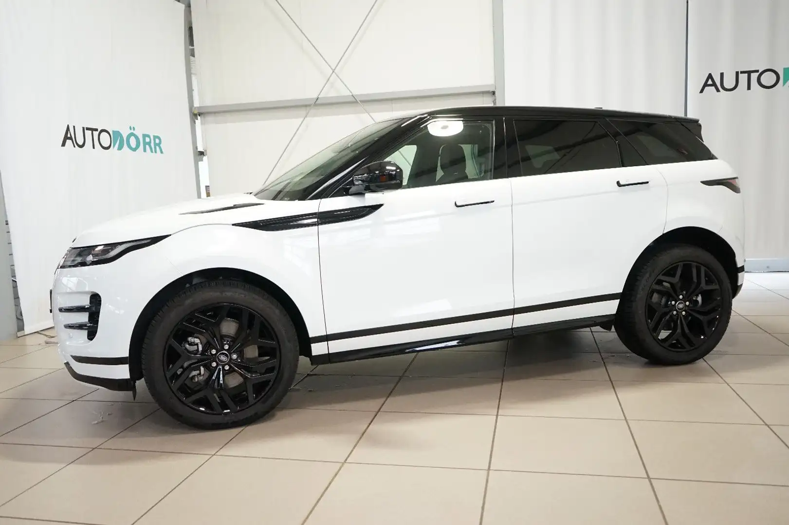 Land Rover Range Rover Evoque Evoque P250 R-Dynamic SE AWD Kamera+Matrix-LED Blanco - 2