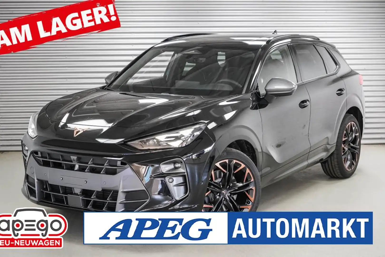 CUPRA Terramar 2,0 TSI DSG 4Drive VZ Чорний - 1