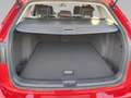 Volkswagen Golf Variant Golf VIII Variant 1.5 TSI Active AHK Kamera LED Rot - thumbnail 14