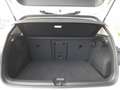 Volkswagen Golf VIII LIFE 2,0 TDI DSG *ALCANTARA SPORT MASSAGESITZ MIT MEMORY / VOLL-LED MIT FLA / VIRTUELL / NAVI / ACC / 3-ZONEN KLIMA* Weiß - thumbnail 14