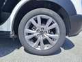 Mazda CX-30 2.0L Skyactiv-G 150cv M Hybrid Executive Bianco - thumbnail 7
