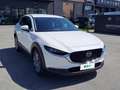 Mazda CX-30 2.0L Skyactiv-G 150cv M Hybrid Executive Bianco - thumbnail 5
