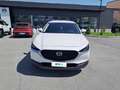 Mazda CX-30 2.0L Skyactiv-G 150cv M Hybrid Executive Bianco - thumbnail 6