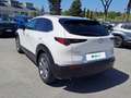 Mazda CX-30 2.0L Skyactiv-G 150cv M Hybrid Executive Bianco - thumbnail 3
