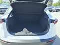 Mazda CX-30 2.0L Skyactiv-G 150cv M Hybrid Executive Bianco - thumbnail 11