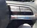 Mazda CX-30 2.0L Skyactiv-G 150cv M Hybrid Executive Bianco - thumbnail 14
