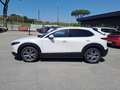 Mazda CX-30 2.0L Skyactiv-G 150cv M Hybrid Executive Bianco - thumbnail 2