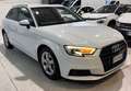 Audi A3 A3 Diesel Neopatentati - thumbnail 7