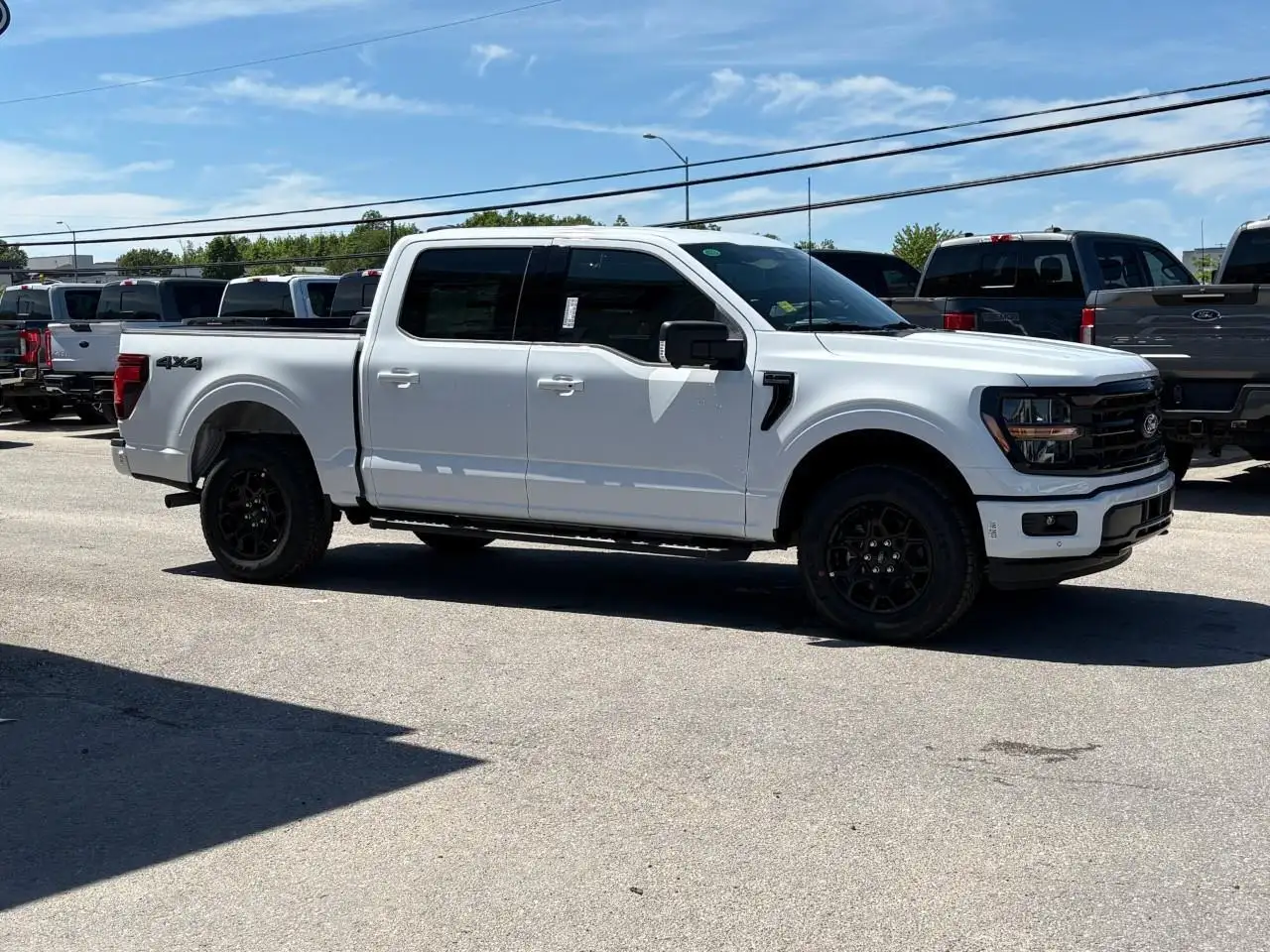 Ford F 150 fotografie Ford F 150