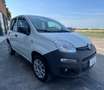 Fiat Panda Panda 0.9 Autocarro 2 posti Metano Bianco - thumbnail 4
