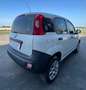 Fiat Panda Panda 0.9 Autocarro 2 posti Metano Bianco - thumbnail 6