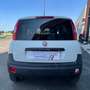 Fiat Panda Panda 0.9 Autocarro 2 posti Metano Bianco - thumbnail 9